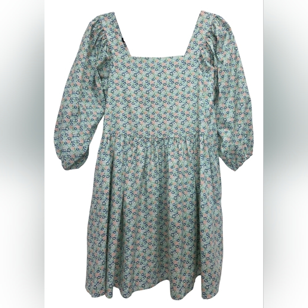 Storia Blue Floral Babydoll Puff Sleeve Mini Dress, Small